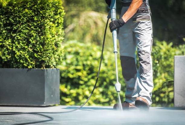  Gate City, VA Pressure Washing Pros