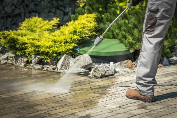 Best Animal Enclosure Cleaning  in Gate City, VA